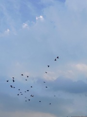 1702743