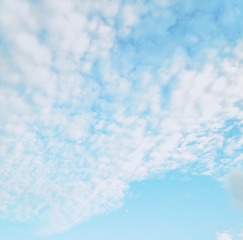 1409242