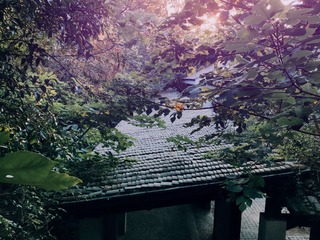1409233