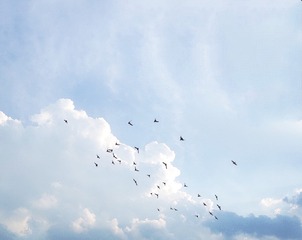 1702742