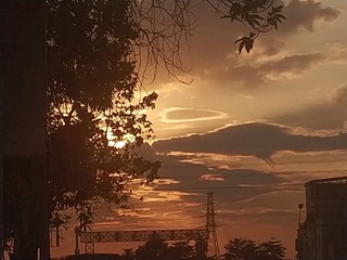 1000003282