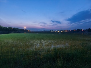 1000003024