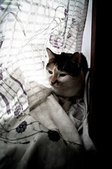 20121009-旺角到黑夜.jpg