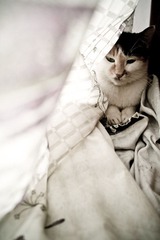 20121009-旺角到黑夜-4.jpg