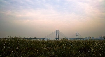 20121107-SDIM2127.jpg