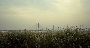 20121107-SDIM2129.jpg