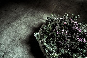 20130514-SDIM2324.jpg