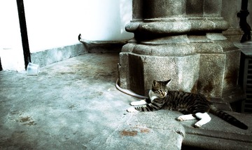 20130826-SDIM2499.jpg