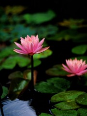 001