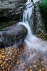 1000084171