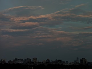 1000016681