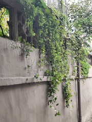 1000005558
