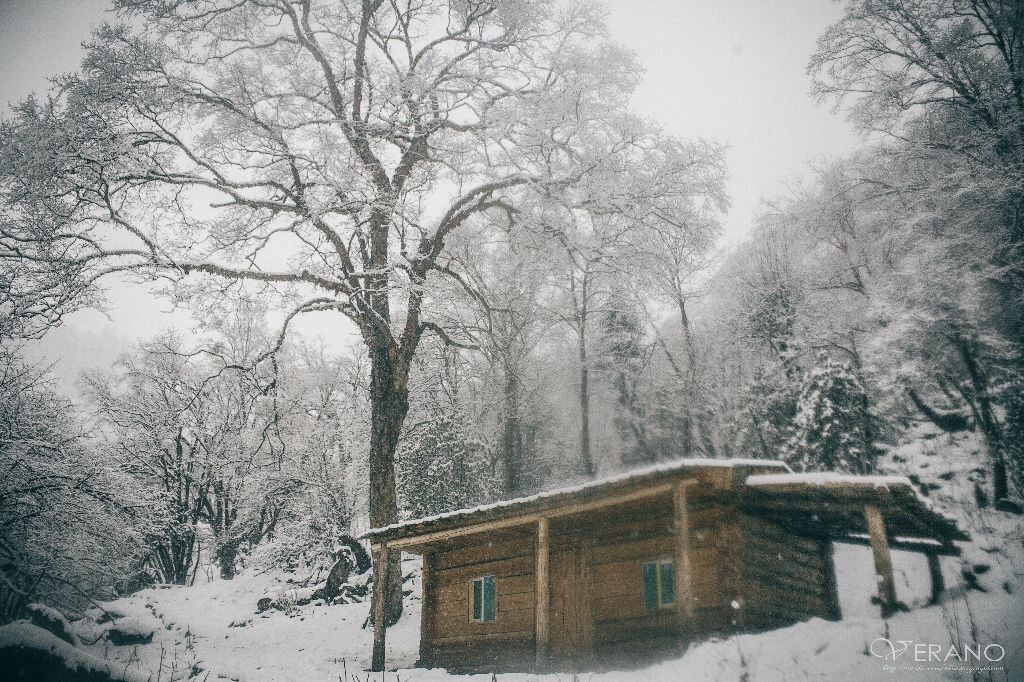 风雪中的小木屋，漂泊者的归宿。<br />
