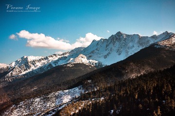 IMG_6901.jpg