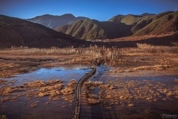 IMG_7672修