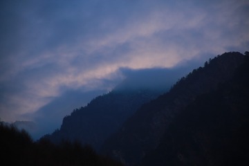 1000130539