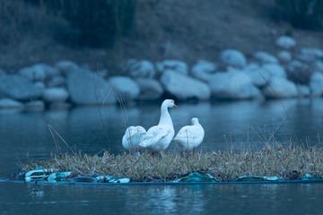 001