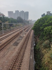 1000092433