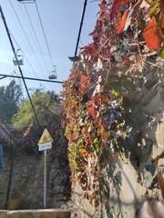 1000035644