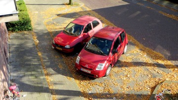 1-IMG_1578.JPG