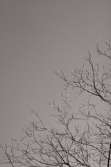 1000033911
