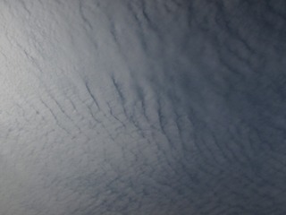1000027006
