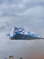 1000016040