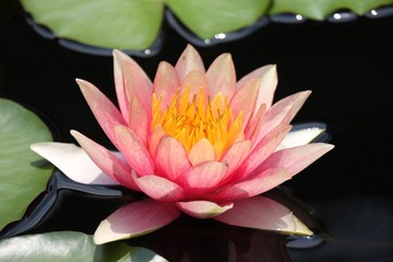 IMG_5575.JPG