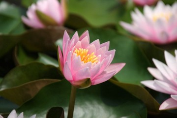 IMG_5592.JPG