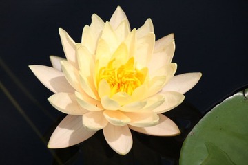 IMG_5593.JPG
