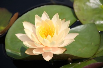 IMG_5594.JPG