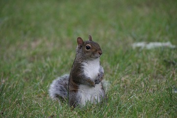 IMG_5043.JPG