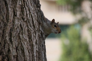 IMG_6473.JPG