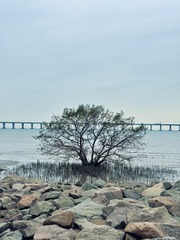 001