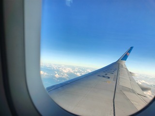 1000296639