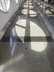 1000296850