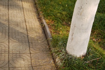 1000062434