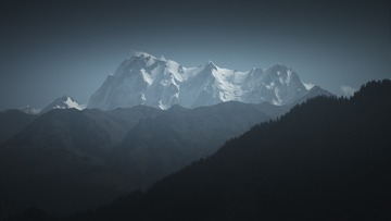 1000017721