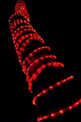 IMG_2462.jpg