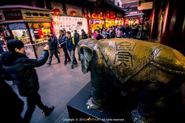 IMG_3194.jpg