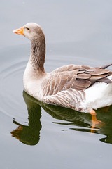 4D080F01-FA7B-4D99-83AC-C292BC278AFC/L0/001