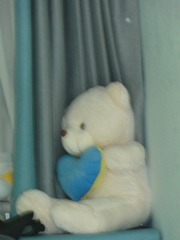 DSC01299