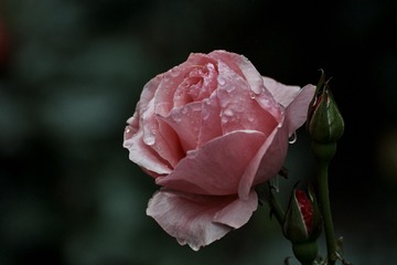 723955