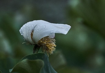754816