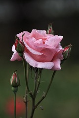 723717