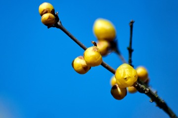 316