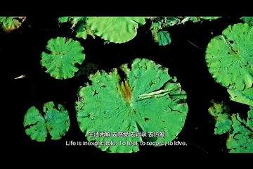 1000073963