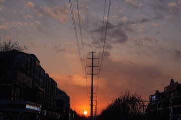 20006