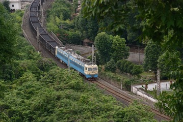2440291