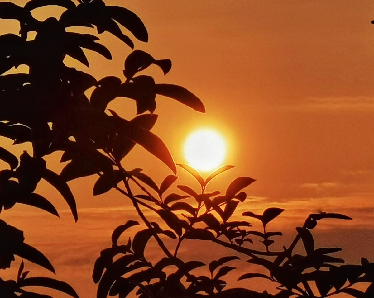 立冬清晨的太阳